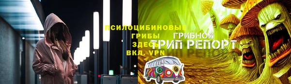ГАЛЛЮЦИНОГЕННЫЕ ГРИБЫ Аркадак