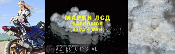 ГАЛЛЮЦИНОГЕННЫЕ ГРИБЫ Аркадак