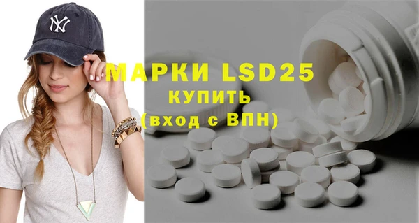 ГАЛЛЮЦИНОГЕННЫЕ ГРИБЫ Аркадак