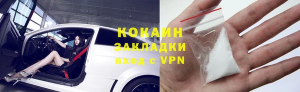 ГАЛЛЮЦИНОГЕННЫЕ ГРИБЫ Аркадак