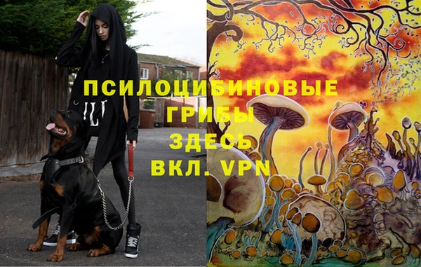 спиды Арсеньев