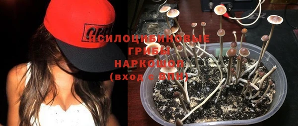 спиды Арсеньев