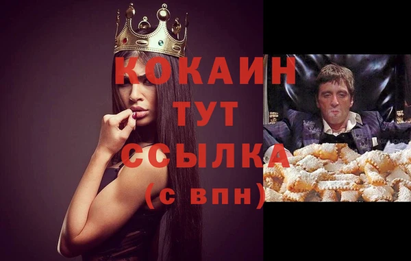 спиды Арсеньев