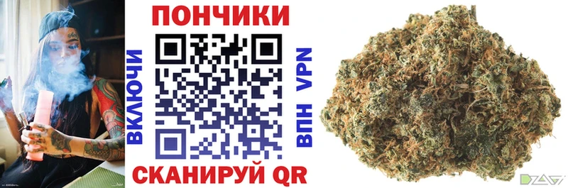наркошоп  Сясьстрой  Канабис VHQ 